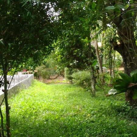 טקאדי Philip Mary Farm Stay מראה חיצוני תמונה