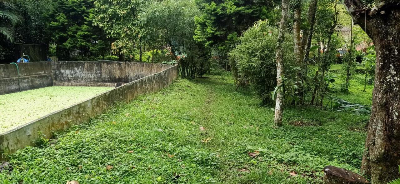 טקאדי Philip Mary Farm Stay מראה חיצוני תמונה
