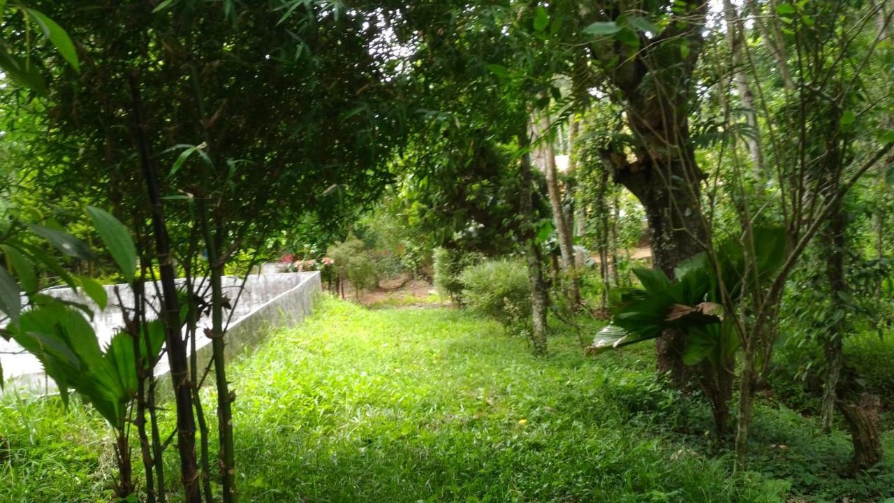 טקאדי Philip Mary Farm Stay מראה חיצוני תמונה