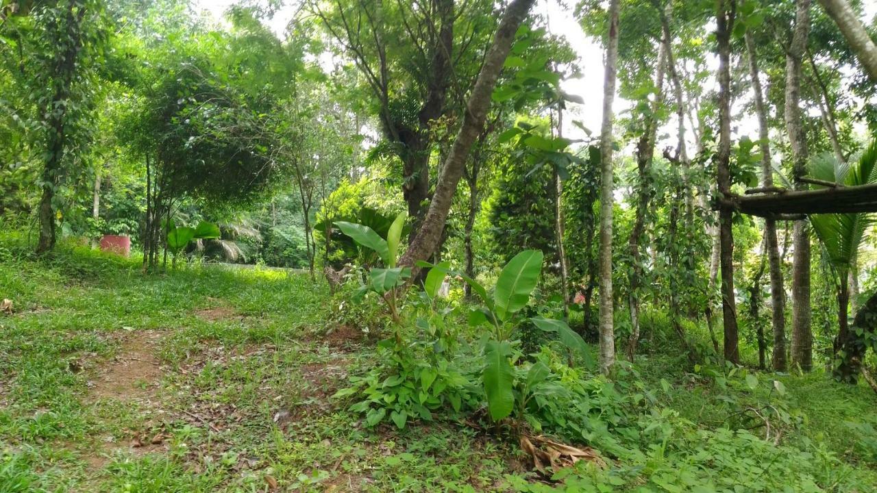 טקאדי Philip Mary Farm Stay מראה חיצוני תמונה